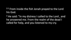 Jonah Lesson 2 | Jacob Franz
