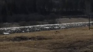 Усть-Кут - Курорт, река Кута, Детская площадка. (2017 год)