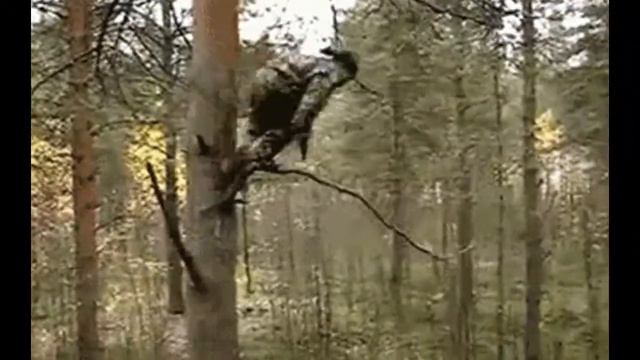 The Deadliest Female Sniper : Lyudmila Pavlichenko смотреть онлайн