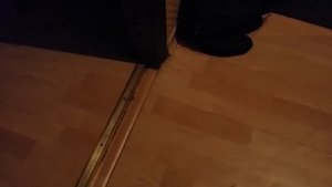 Австралийский Сахарный поссум - Как кошки.