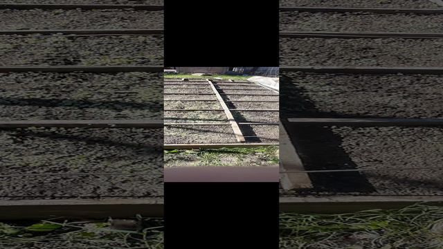 1000189269.mp4