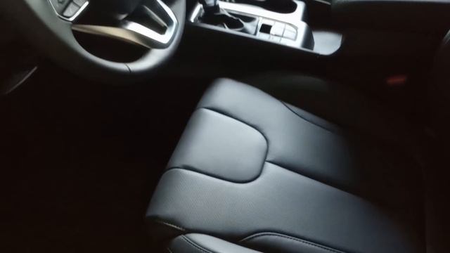 Новый Hyundai Santa Fe 2018/2019 2.2 дизель 200 л.с. 8 ступеньчатая АКПП покупать, или нет Camelot смотреть онлайн