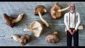 5 Beneficios para la salud de comer hongos shiitake