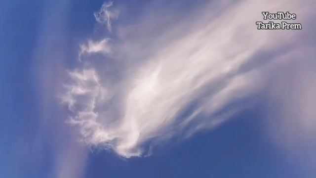 Праздник Покрова, а снега нет