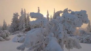 До слез красивая мелодия! Одна из самых красивых,волшебных зимних мелодий! ЗИМА, СНЕГ.ЛЮБОВЬ