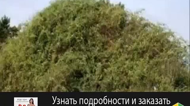 диета дюкана 1 этапа рецепты1