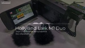 Hollyland Lark M1 Duo | ТОПОВЫЕ БЕСПРОВОДНЫЕ ПЕТЛИЧКИ ??
