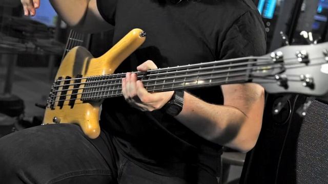 Warwick Corvette Standard - самый народный Варвик