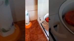 Топим Барсучий жир быстрый метод