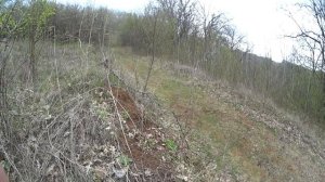 Нагонка гончей Заяц и гончая