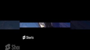 охота на зайца 2024г.