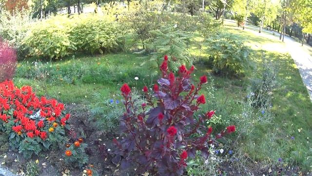 Как быть интересной мужчине и не надоесть смотреть онлайн