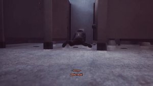 What Happened - ВИДЕООБЗОР На самую упоротую дичь 2020 года |Гнев и Котики|