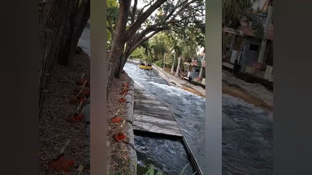 Bush Gardens, Tampa, Florida, 10 декабря 2019 г. смотреть онлайн