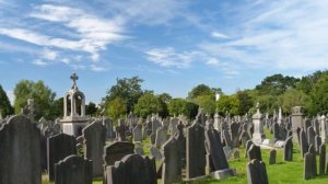 Шестое чувство животных