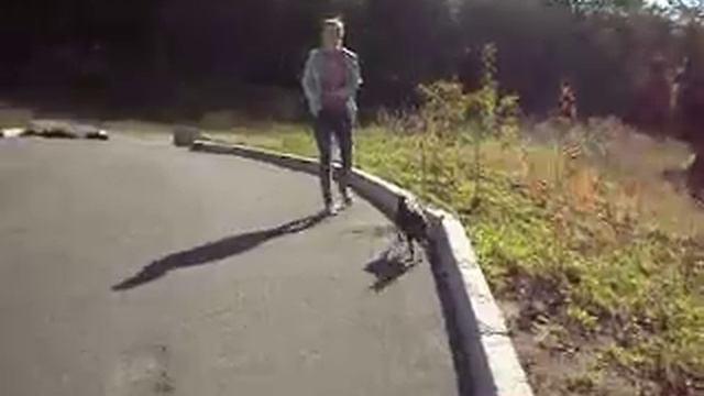 Цвергпинчер Матильда.Покой вам только сниться.2016 год. смотреть онлайн