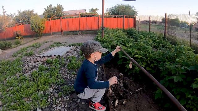 Жизнь в деревне | В деревню к бабушке | приключения | дети | видео для детей