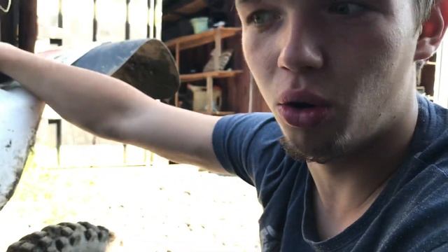 ОБЗОР НА REGULMOTO FIVE смотреть онлайн