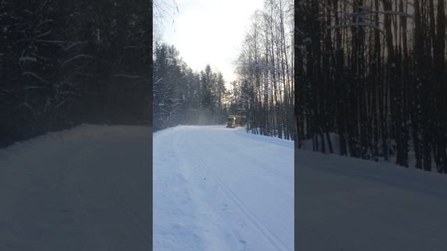 Звено лесовозов MAN. 100 кубов с погрузкой.