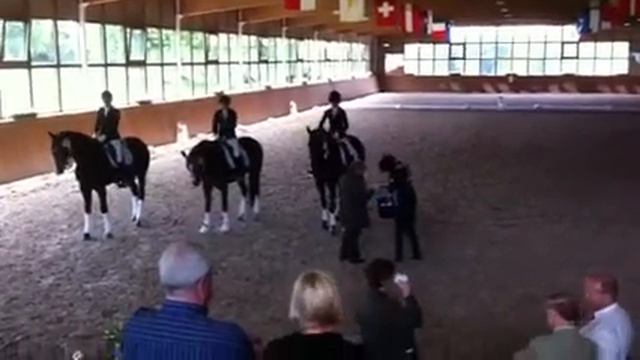 M Dressur Platzierung Kurtscheid смотреть онлайн