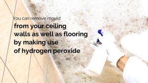 How To Remove Mold Naturally