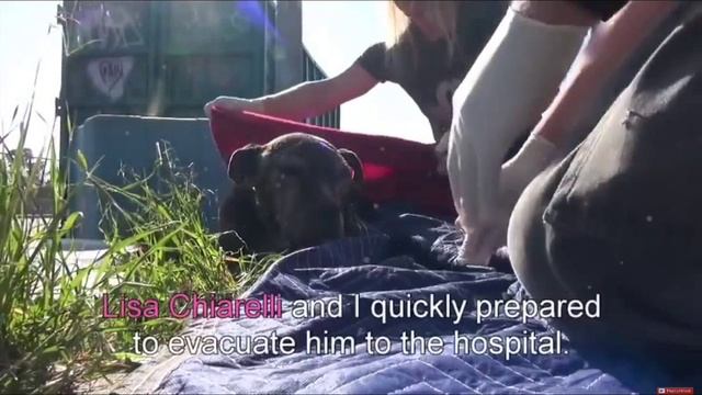 Самая грустная история которая тронет каждого человека до глубины души смотреть онлайн