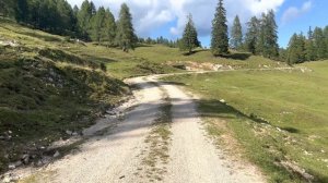 E-MTB. Первые впечатления от электровелосипеда.