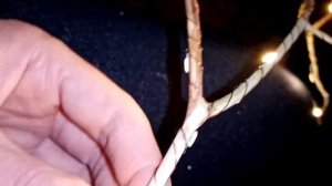 Как сделать светодиодное дерево своими руками, дерево светильник?ночник дерево?