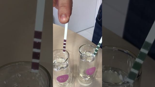 Определение жесткости воды Тест-полосками смотреть онлайн
