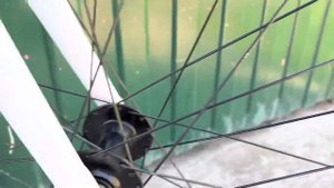 Фикс из ТриалСпорта - что не так с велосипедом Outleap HERITAGE собранном в магазине