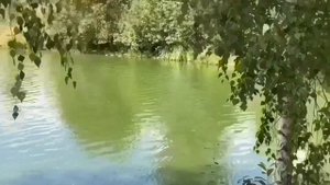 НАДЯ ПРАВИЛЬНО СДЕЛАЛА. НАДЕЖДА КУБЫШКИНА.