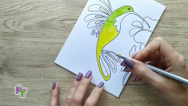 Познавательное рисование для детей с PimkiToys. Видеоурок. Простой рисунок. Колибри смотреть онлайн