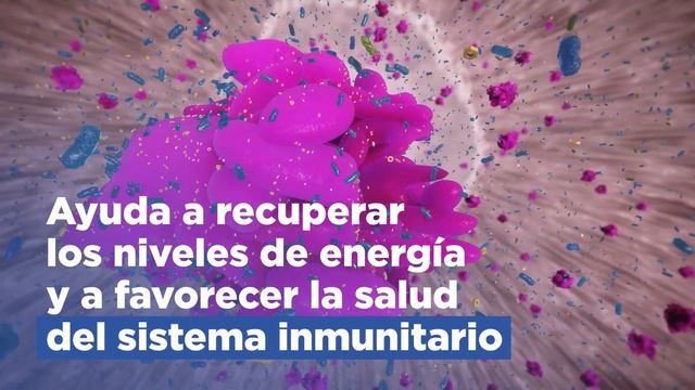 Hill's Prescription Diet i/d para perros y gatos | Cuida su salud digestiva смотреть онлайн