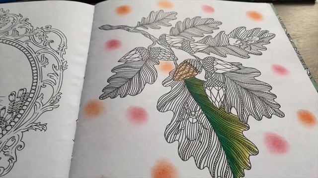 Тестируем товар в раскрасках [4] | карандаши FABER-CASTELL Polychromos | раскраски Антистресс