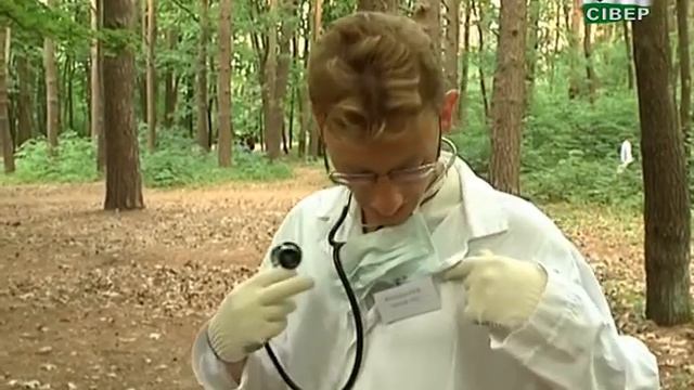 Супергерої з мультфільмів та кіно вийшли на боротьбу зі сміттям у Чернігові