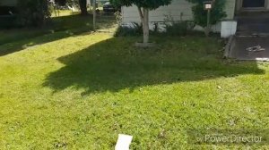 ВЫКИНУЛИ $500 А ВЗЯТЬ НЕ МОГУ .НЕ СВАЛКА , А БАРАХОЛКА В АВСТРАЛИИ . ШПЕРМЮЛЬ НАХОДКИ