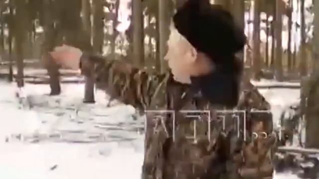 Газ в дом#Золотые дрова.Русская деревня.