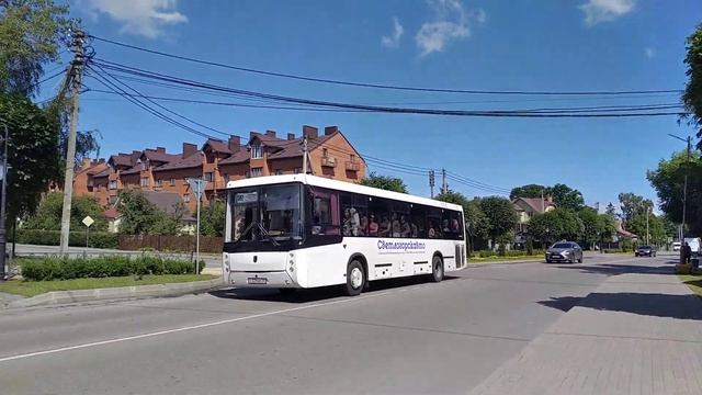 Автобус пригородной компанией "Светлогорскавто" маршрутом №587 "Зеленоградск - Балтийск" смотреть онлайн