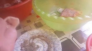 Готовим окорочка  маринованные на сковороде
