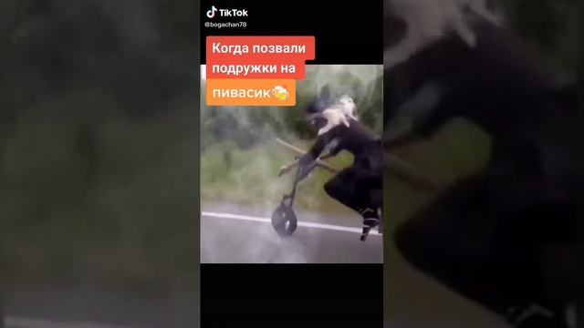 Прикольное видео 26. 2023