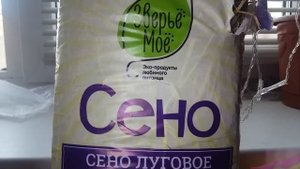 -ПИТАНИЕ ДЕГУ- /чилийская белка дегу/