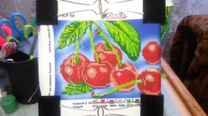 №14 отчёт№1 вишни.