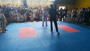 4 пинан ката