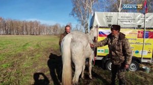600 км за спиной: как прошла вторая неделя конного похода из Кургана в Монголию?