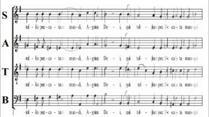 Mozart- Missa Brevis in G-major - KV 49 - 6 Agnus Dei - Bass