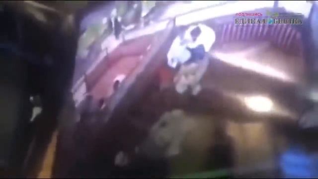 В Российском Сливочном Масле Нашли СВИНОЙ ЖИР! смотреть онлайн