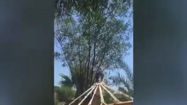 BODRUM & 2020.07.21. 💙🦀🍉🍇🍍 смотреть онлайн