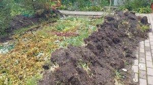 Тёплая грядка под клубнику Осенняя и Весенняя посадка пересадка