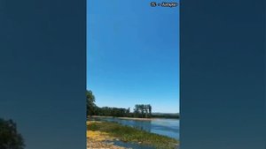 "Нахские горные мотивы" (Дечиг-пондар - дечкпондур)...