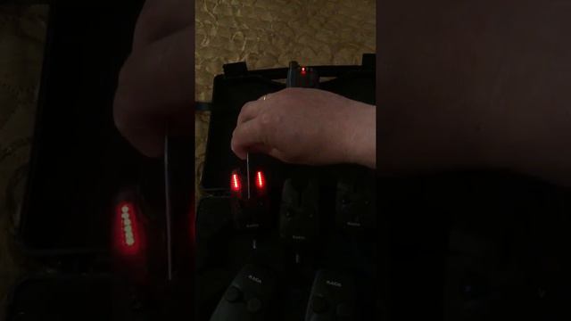 Бюджетные сигнализаторы поклевки Каида 3+1 смотреть онлайн